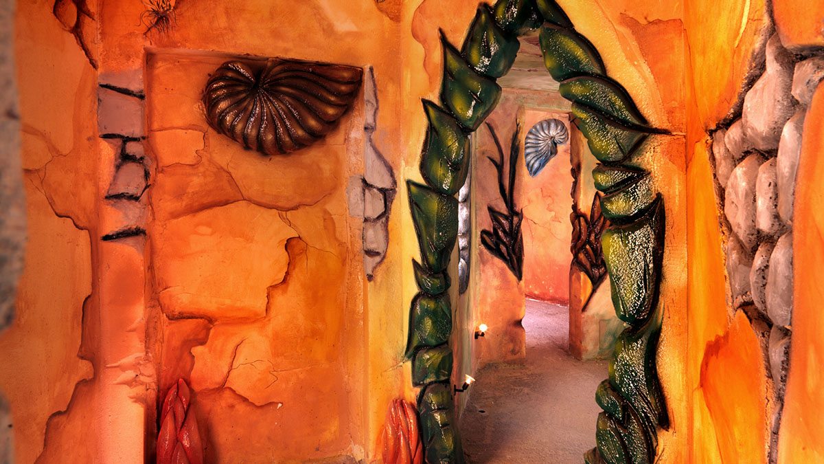 Out of the Blue Resort 